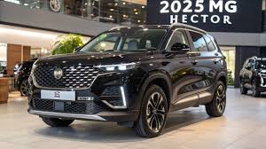 Mg hector